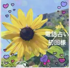 ぴろけすた様❤️おまとめ専用ページです。6/17まで♡ - メルカリ