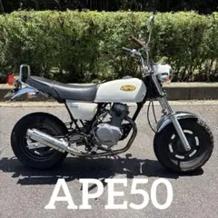 大阪市 ホンダ モトラ 実働 ミャクミャクプレート - メルカリ