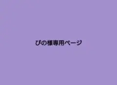 ぴの様専用ページ