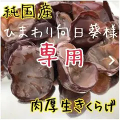 【ひまわり向日葵様】採れたて農家直送⭐️特選生きくらげ1キロ⭐️のサムネイル