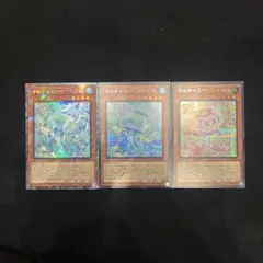 遊戯王　マルチャミーニャルス シク　マルチャミープルリア コレクターズレア　シク
