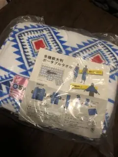 Item thumbnail for item e4586c55-0dcf-4815-9bf2-08afe311c41b