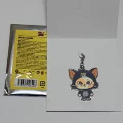 ① BOYNEXTDOOR プネクド トムジェリ メタルチャーム ソンホ