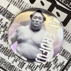 尊富士　関取全員集合缶バッジ　大相撲ガチャ　大相撲カードおまけ付き