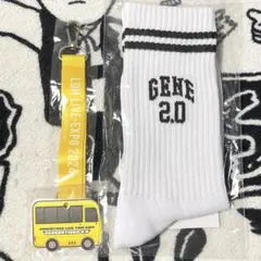 【GENE】ソックス+ガチャ2点セット【GENERATIONS 2.0】