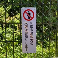 Item thumbnail for item 7c4dc05c-8ca4-446d-a914-d0627b811500