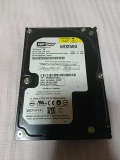 Western Digital WD Caviar 250GB HDD