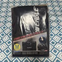 Item thumbnail for item f13a293a-2645-41d5-b23e-f7aee941a480