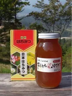 【中川はちみつ工房】富永朝和 [特製] はちみつ 1200g 中川はちみつ工房】富永朝和（特製）はちみつ 1200g 蜂蜜 - メルカリ