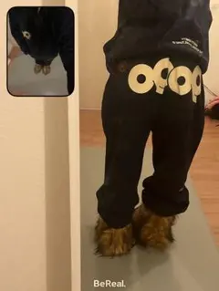 ナインティナインティ　セットアップ 9090(ナインティナインティ) / セットアップ/L/コットン/GRY