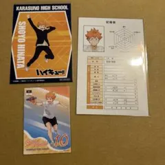 ハイキュー 日向翔陽 まとめ売り
