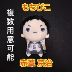 ハイキュー　もちぴこ　ぬいぐるみ　赤葦京治　②