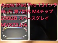 Apple iPad Pro M4 13インチ 256GB スペースグレイ