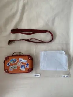 【美品】バケーションパッケージ ショルダーバッグ ディズニー