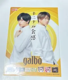 中島健人 菊池風磨 クリアファイル