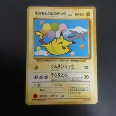 そらをとぶピカチュウ_ANA 「みんなにうれしいキャンペーン