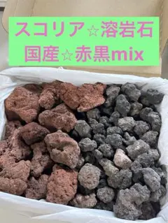 Item thumbnail for item f5ad5859-d485-4660-8538-b98c4b0e05a6