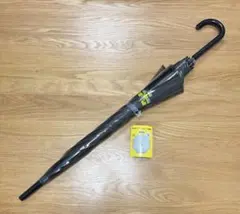 Item thumbnail for item 06e58693-7c44-4116-a4e8-7f1632a799ca