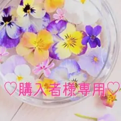 たかチャン様専用