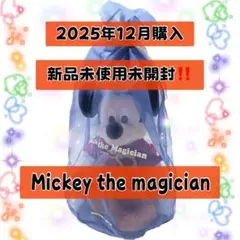 2026年最新】DWE ディズニー英語システムの人気アイテム - メルカリ