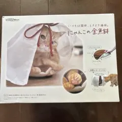 Item thumbnail for item 47552f6d-9d0b-4664-864c-8415a210bdb5