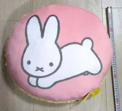 Item thumbnail for item a83ea1c4-d987-4940-af98-03cfbf0bf719