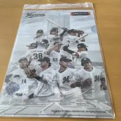 Item thumbnail for item 77b88c24-f285-46b5-9348-8e37caebf055