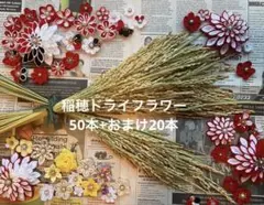 稲穂　ドライフラワー　お正月飾り　しめ縄　（５０本＋おまけ）