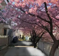 はなそら様専用