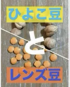 ぴー▷プロフ必読◁様 リクエスト 2点 まとめ商品