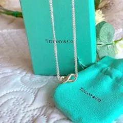 美品 ティファニー インフィニティ ダブルチェーンネックレス 925刻印