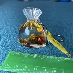 星入り透明　袋風　アクリル　キーホルダー　透明　クリア　水入り