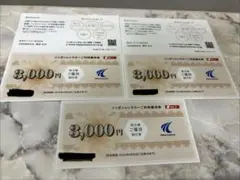 ニッポンレンタカー 株主優待割引券 3000円分×3枚のサムネイル