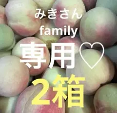 17.若桃 摘果桃 加工 桃 山梨県産 約3kg - メルカリ