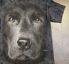 THE MOUNTAIN ザマウンテン アニマルTシャツ 犬 黒ラブラドール Mのサムネイル
