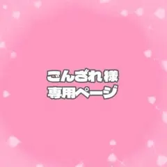 ごんざれ様専用ページ