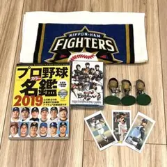Nippon-Ham Fighters グッズ　本　まとめ売り