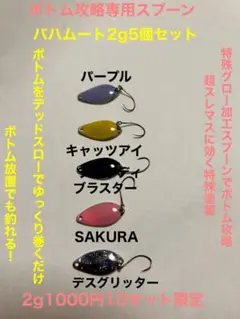 ボトム攻略スプーン！バハムート2g5個セットボトム攻略にはこれだけ