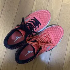 値下げ【洗濯済】ウェーブライダー18 24.5cm ランニングシューズ ミズノ