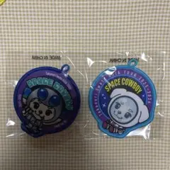 岩田剛典 SPACE COWBOY カプセル ワッペンバッジ【2種セット】