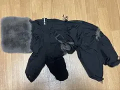 2026年最新】イタグレスノースーツの人気アイテム - メルカリ