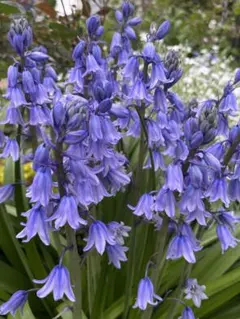 トッケビ様 リクエスト 2点 まとめ商品