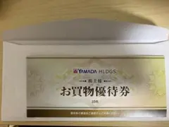 ヤマダ電機株主優待　お買物優待券