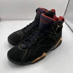 NIKE AIR JORDAN7 RETRO ナイキ　スニーカー