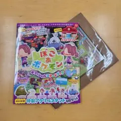 ぽこあ ポケモン オフィシャルスタートブック シリアルコード使用済