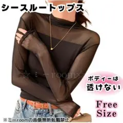 レディース シースルー トップスカットソー 長袖 黒 ブラック チュール 重ね着