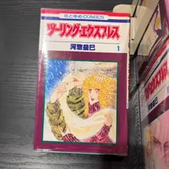 【548】ツーリング・エクスプレス 1～28巻 全巻セット 河惣益巳