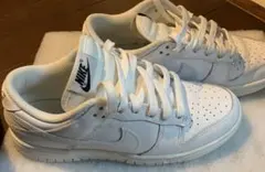 ナイキ ウィメンズ ダンク LOW 24センチ