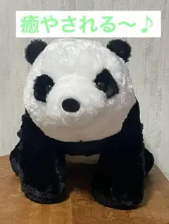 【新品未使用】パンダさん ぬいぐるみ 50cm