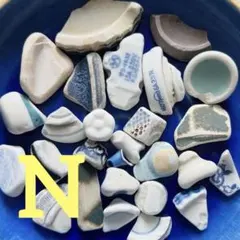 天然 シー陶器 レア系 mix M